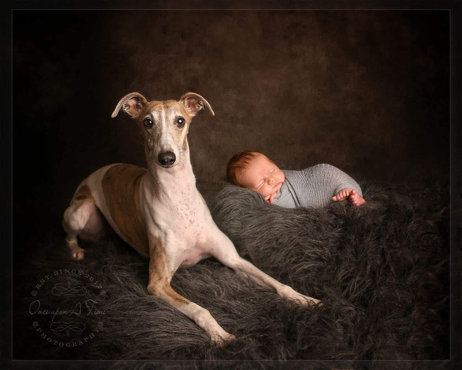 Stoke-newborn-baby-photography