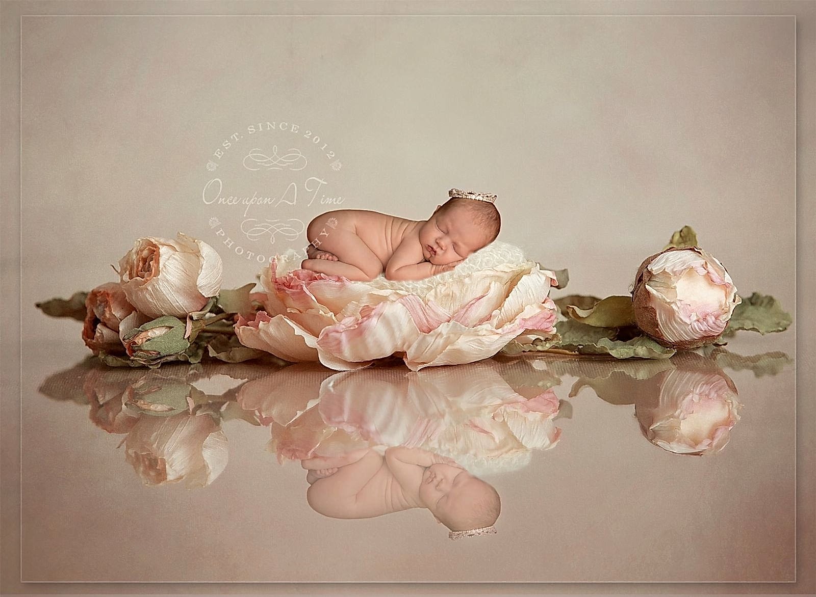 Stoke-newborn-baby-photography