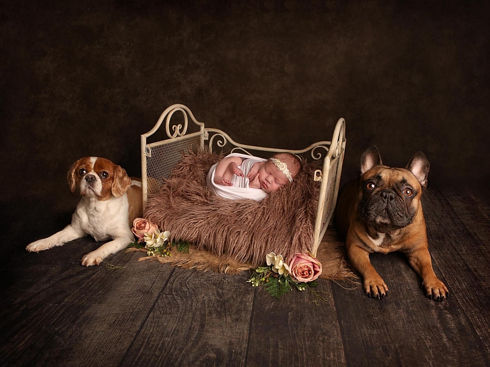 Stoke-newborn-baby-photography